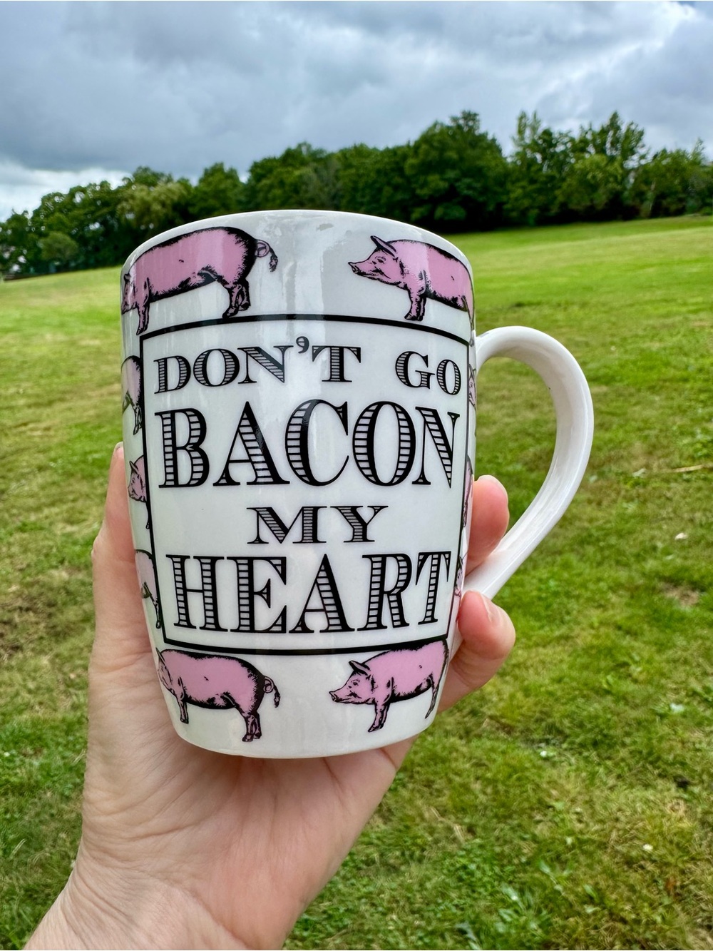 Pier 1 Imports Pig Mug 16 oz.